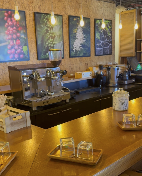 אגרוקפה ישראל בע"מ