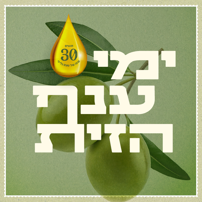 פסטיבל ימי ענף הזית – 30.10-22.11