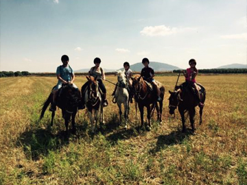 נאבסו איימן